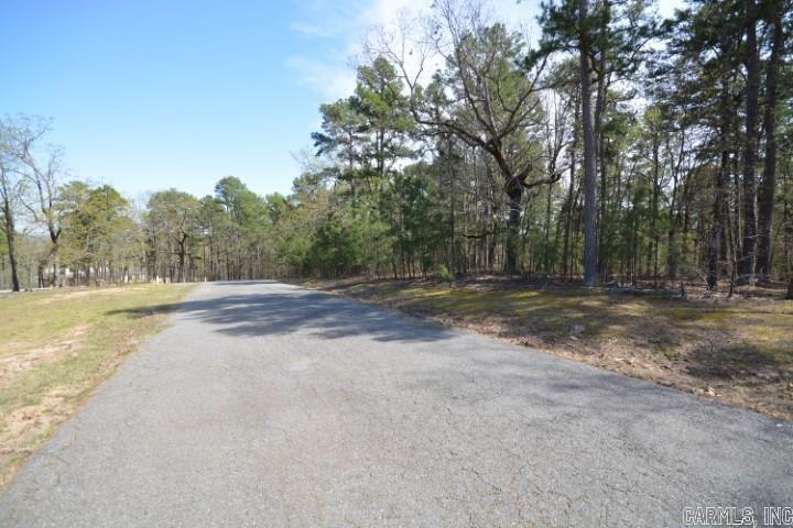 23420 Lot 4 Mills Mountain Road Property Photo 10