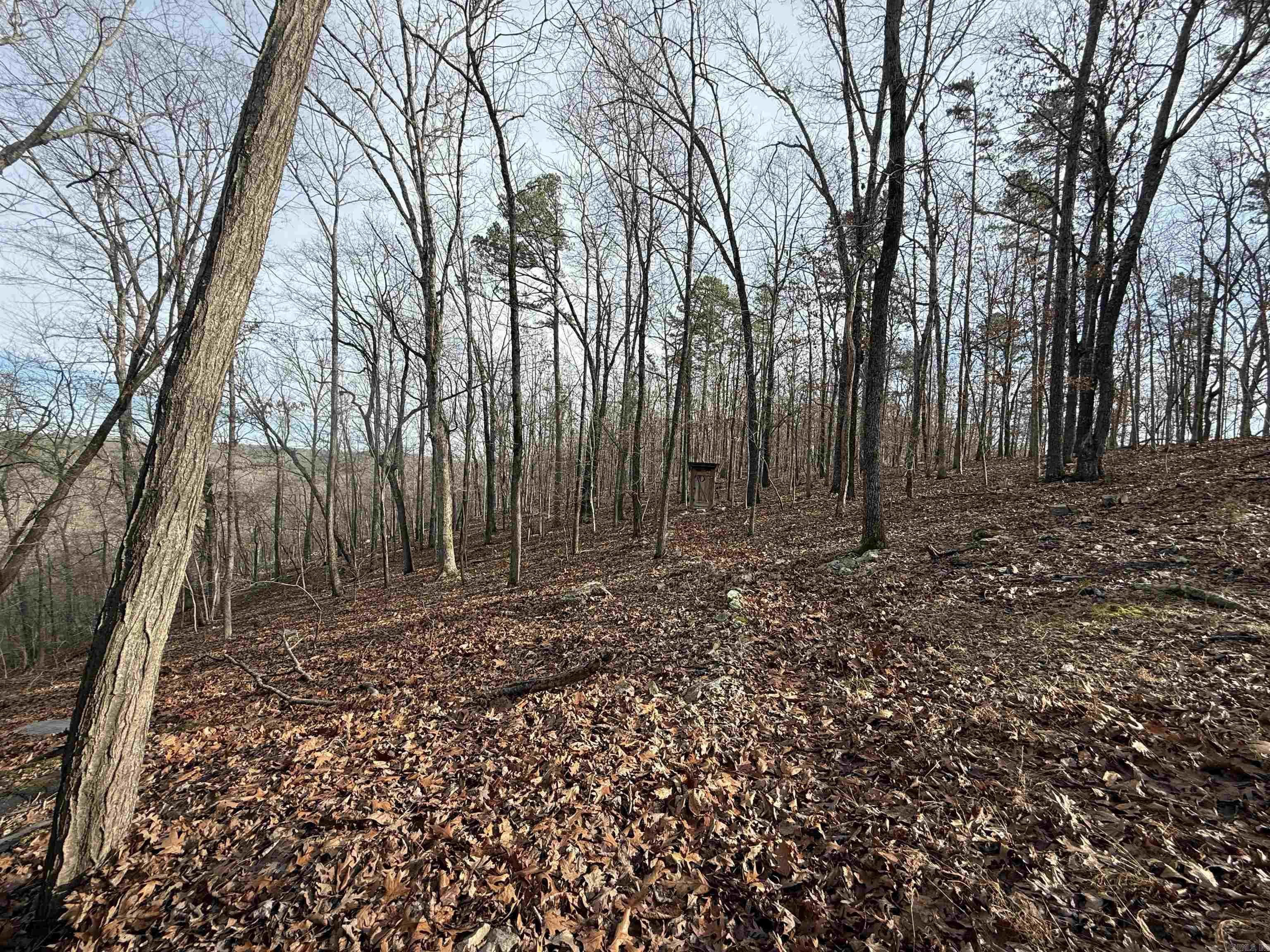 000 Private Road 422-17 Property Photo 21