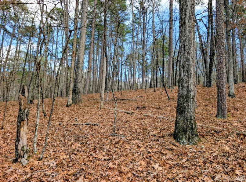 Tbd Ayora Property Photo 2