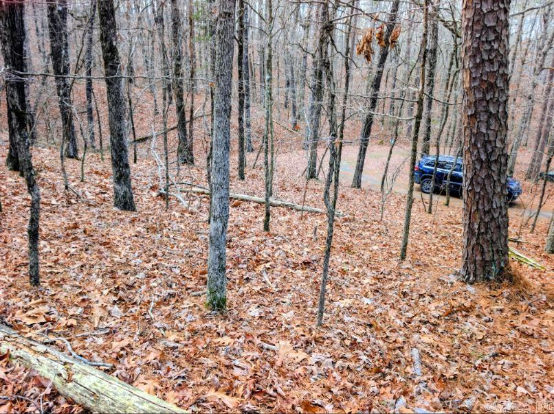 Tbd Ayora Property Photo 3