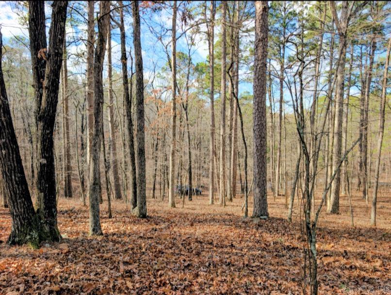Tbd Ayora Property Photo 4