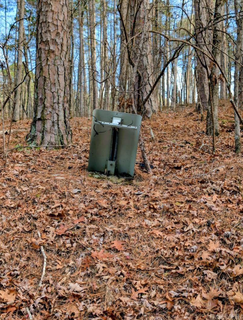 Tbd Ayora Property Photo 6