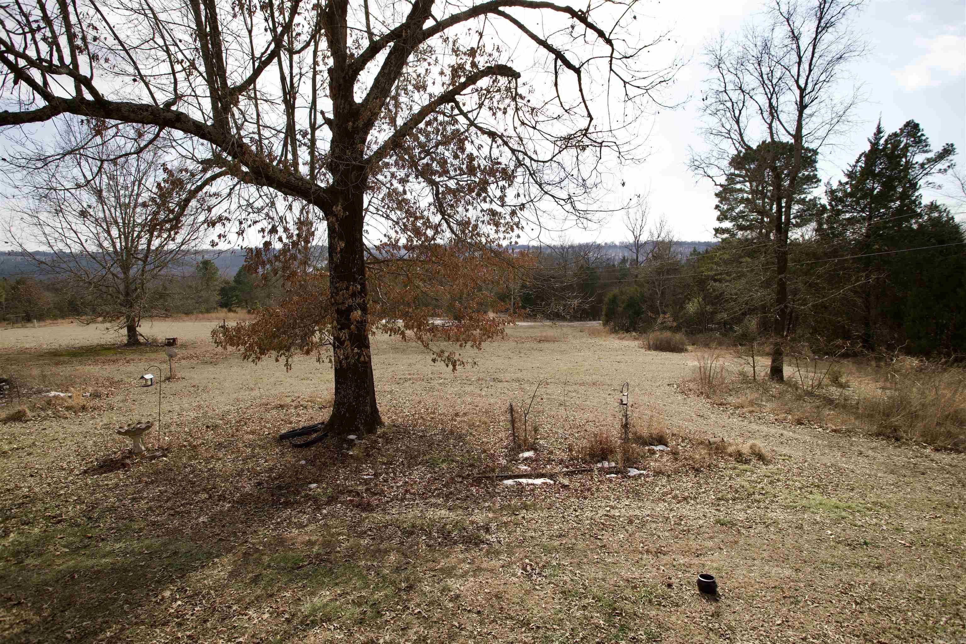 40 Pine Cone Lane Property Photo 5