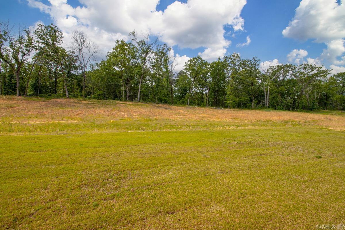 1176 Duke Drive Property Photo 7