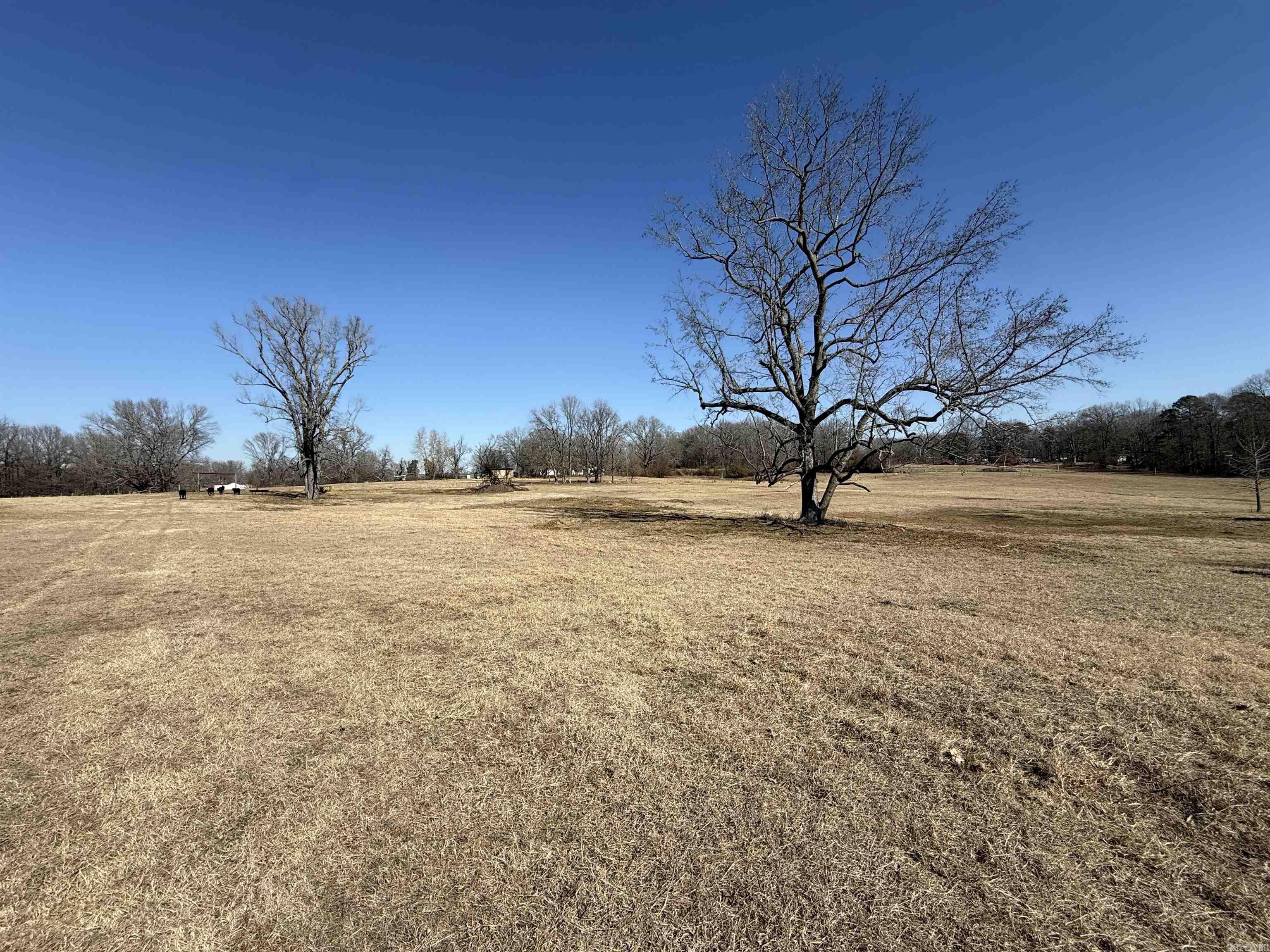 Tract 1- 2003 Old Military Rd. Property Photo 8