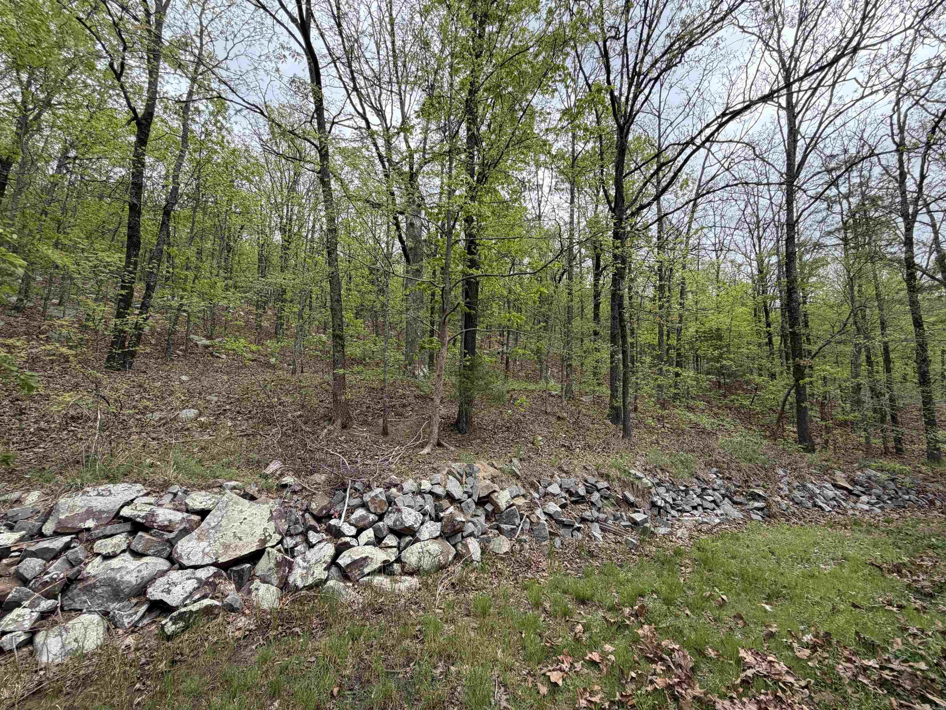 44 Kirkland Drive Property Photo 29