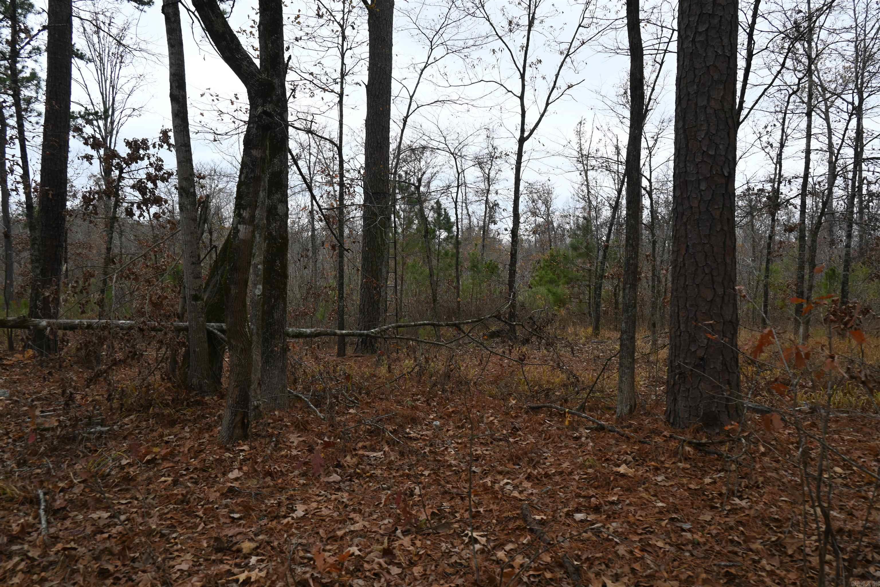512 Owens Ln Lane Property Photo 10