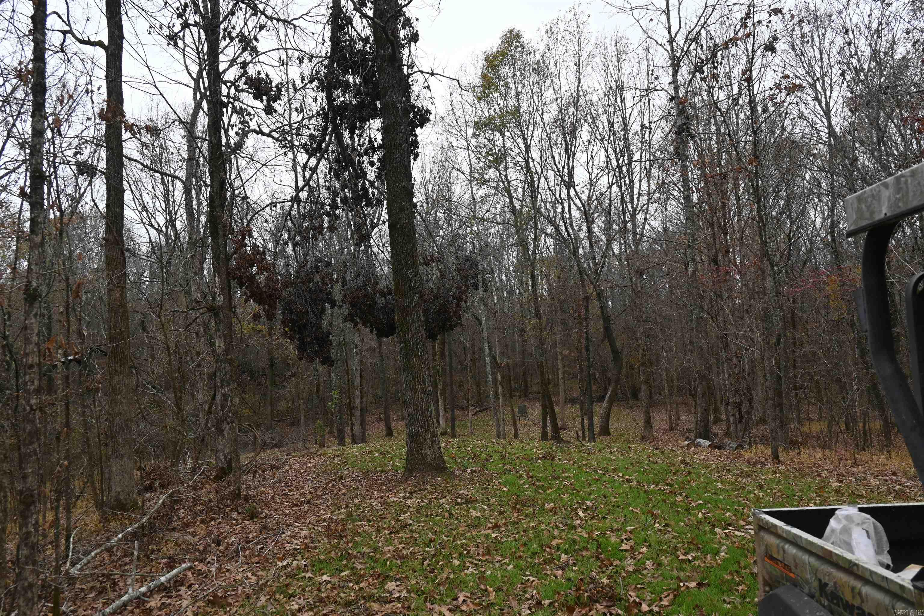 512 Owens Ln Lane Property Photo 28