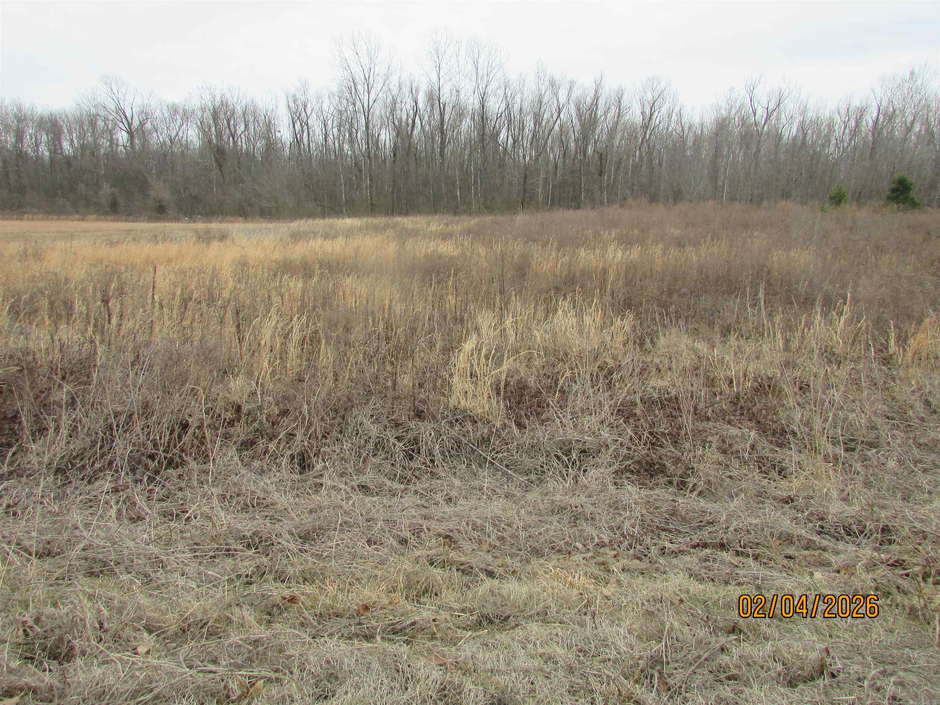 0 Colonel Maynard Rd Property Photo 1
