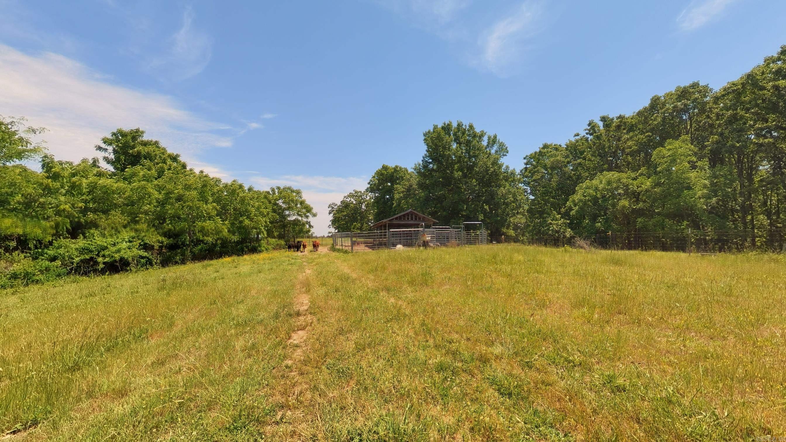 000 N County Road 113 Property Photo 16