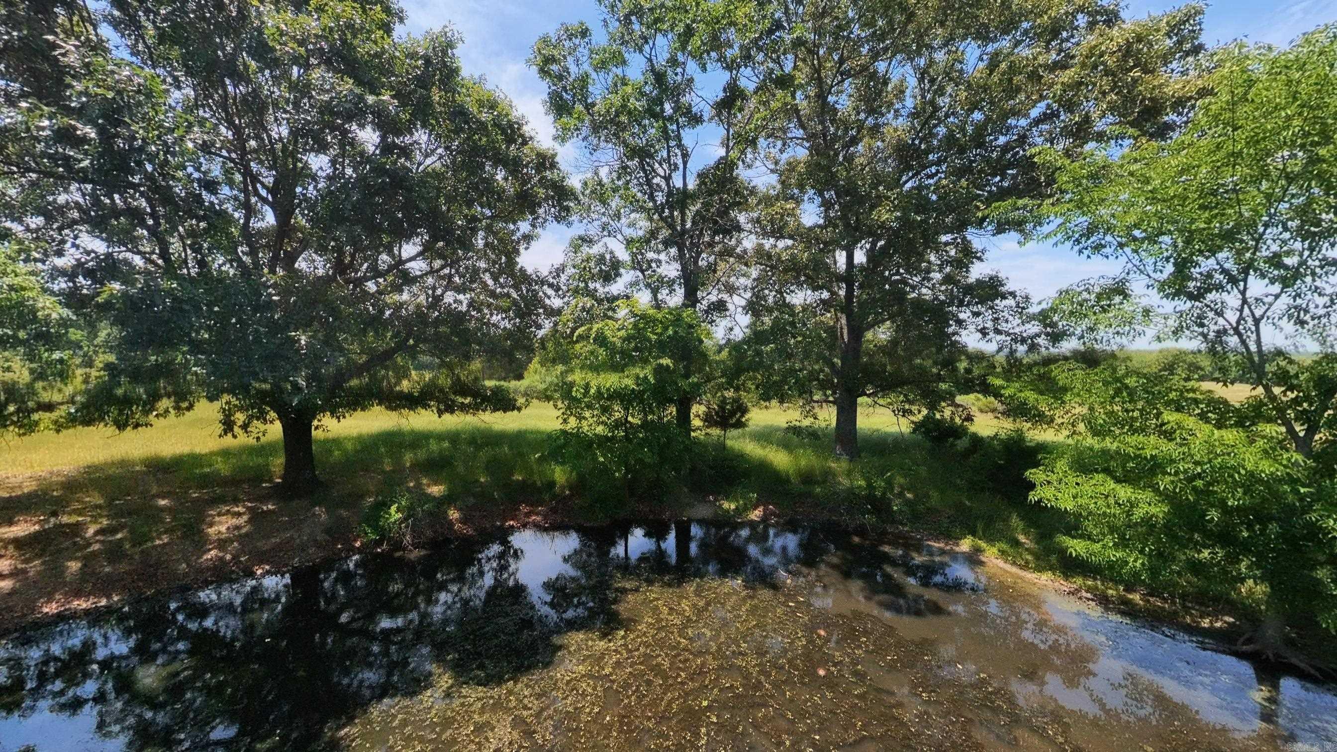 000 N County Road 113 Property Photo 22
