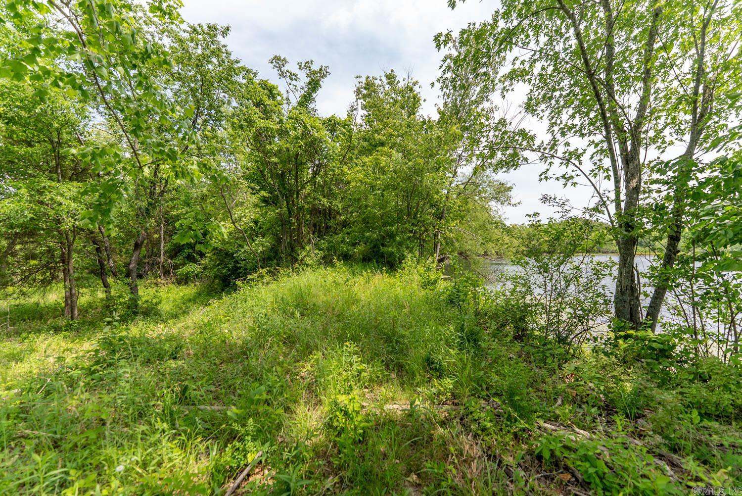 676 County Road 403 Property Photo 19