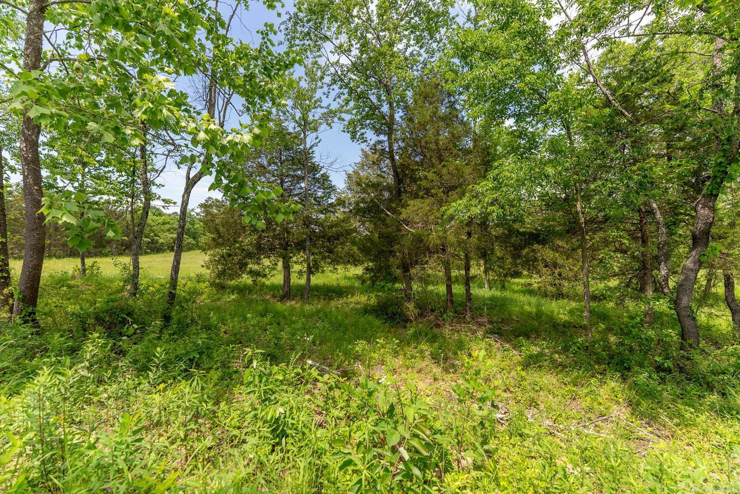 676 County Road 403 Property Photo 21