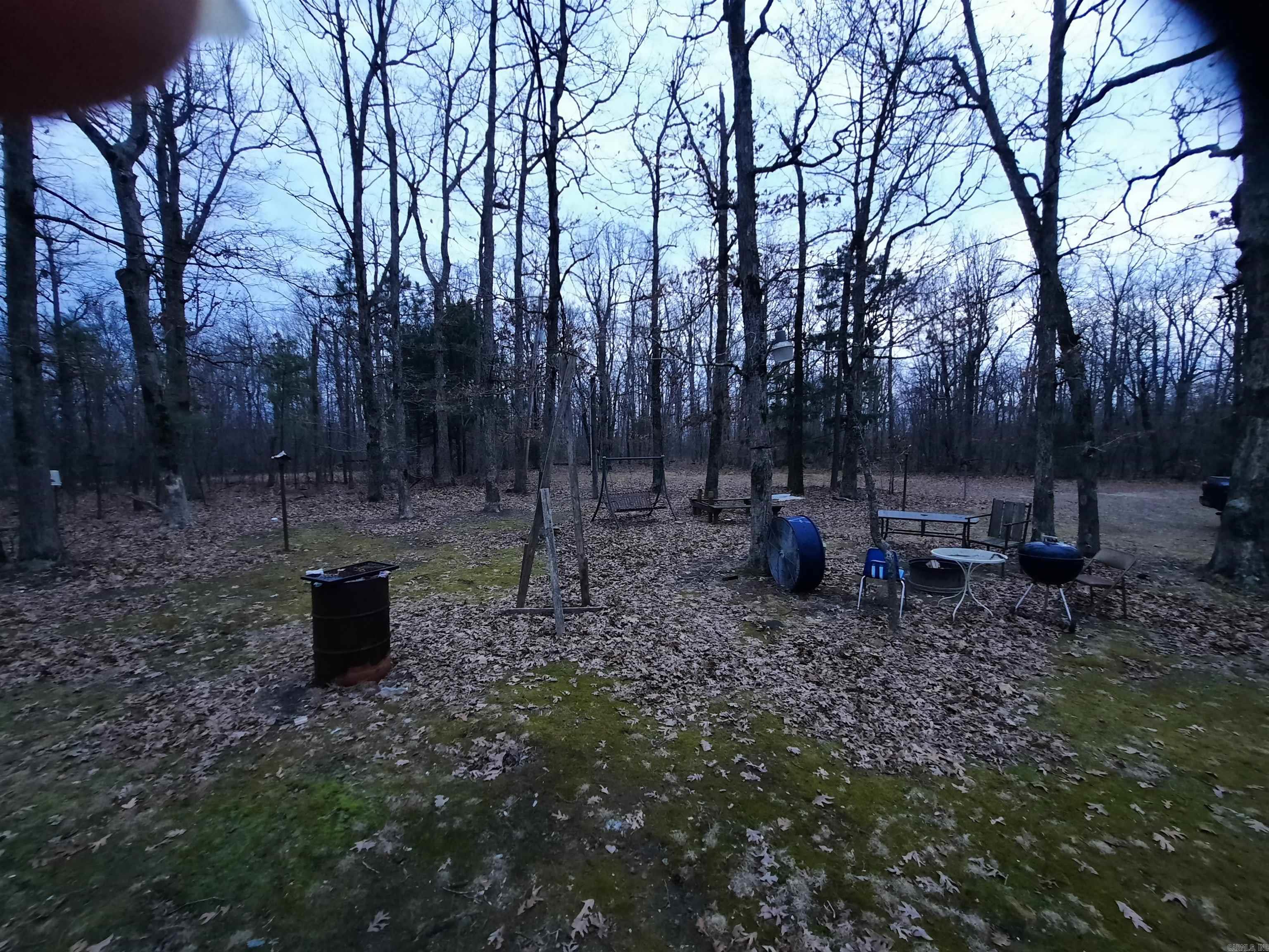 2260 Iron Mountain Road Property Photo 6