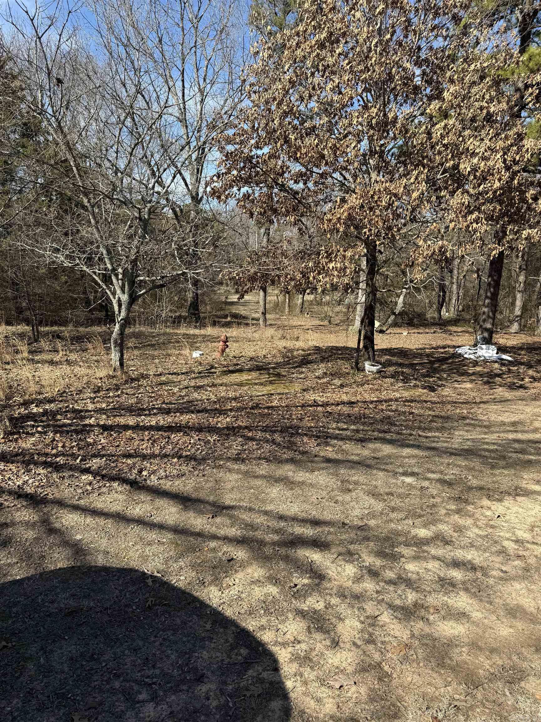592 Shiloh Rd Property Photo 2
