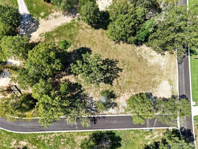 Lot 10 Arkota Shores Property Photo 3
