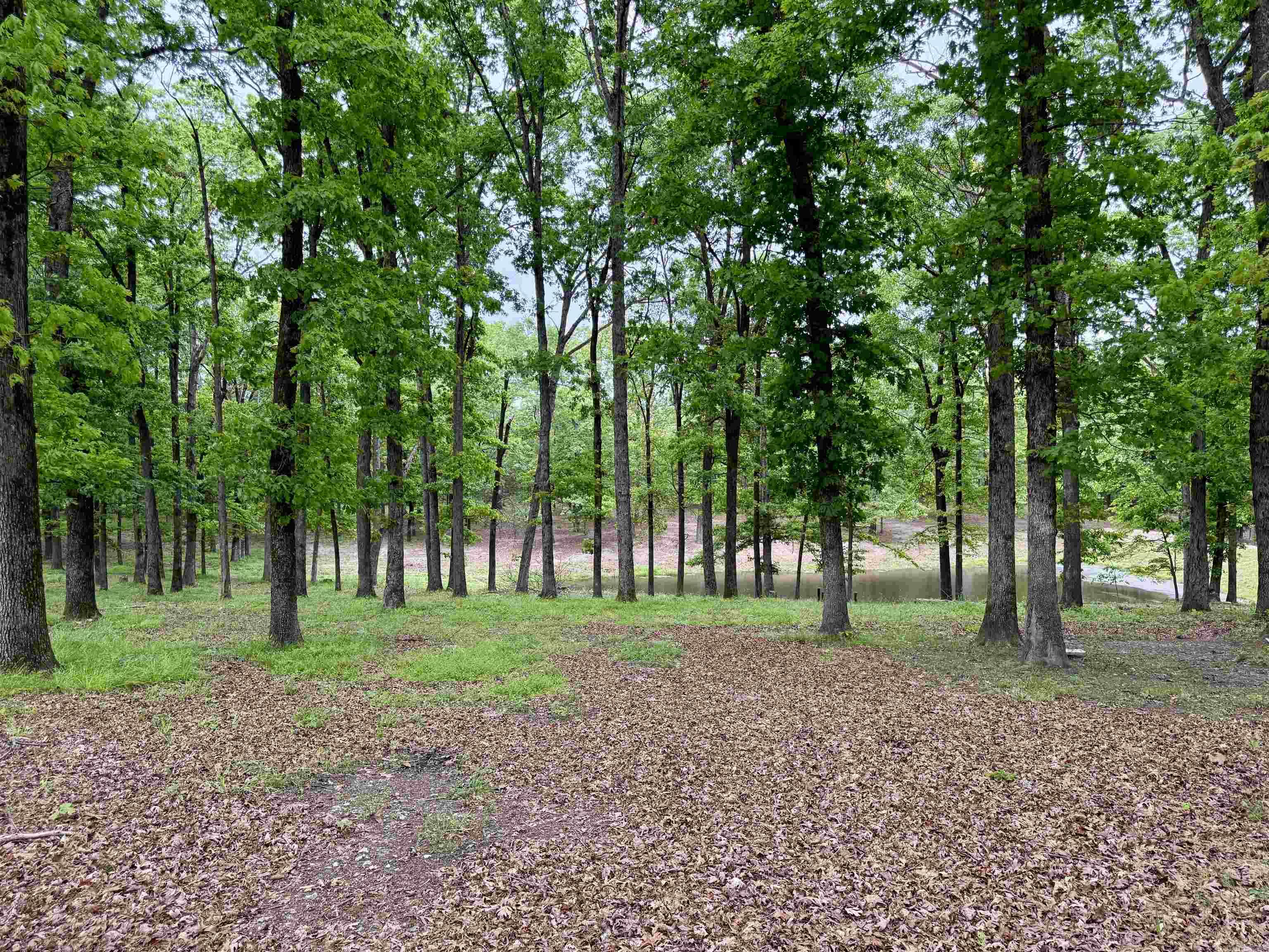 507 Polk Road 13 Property Photo 3