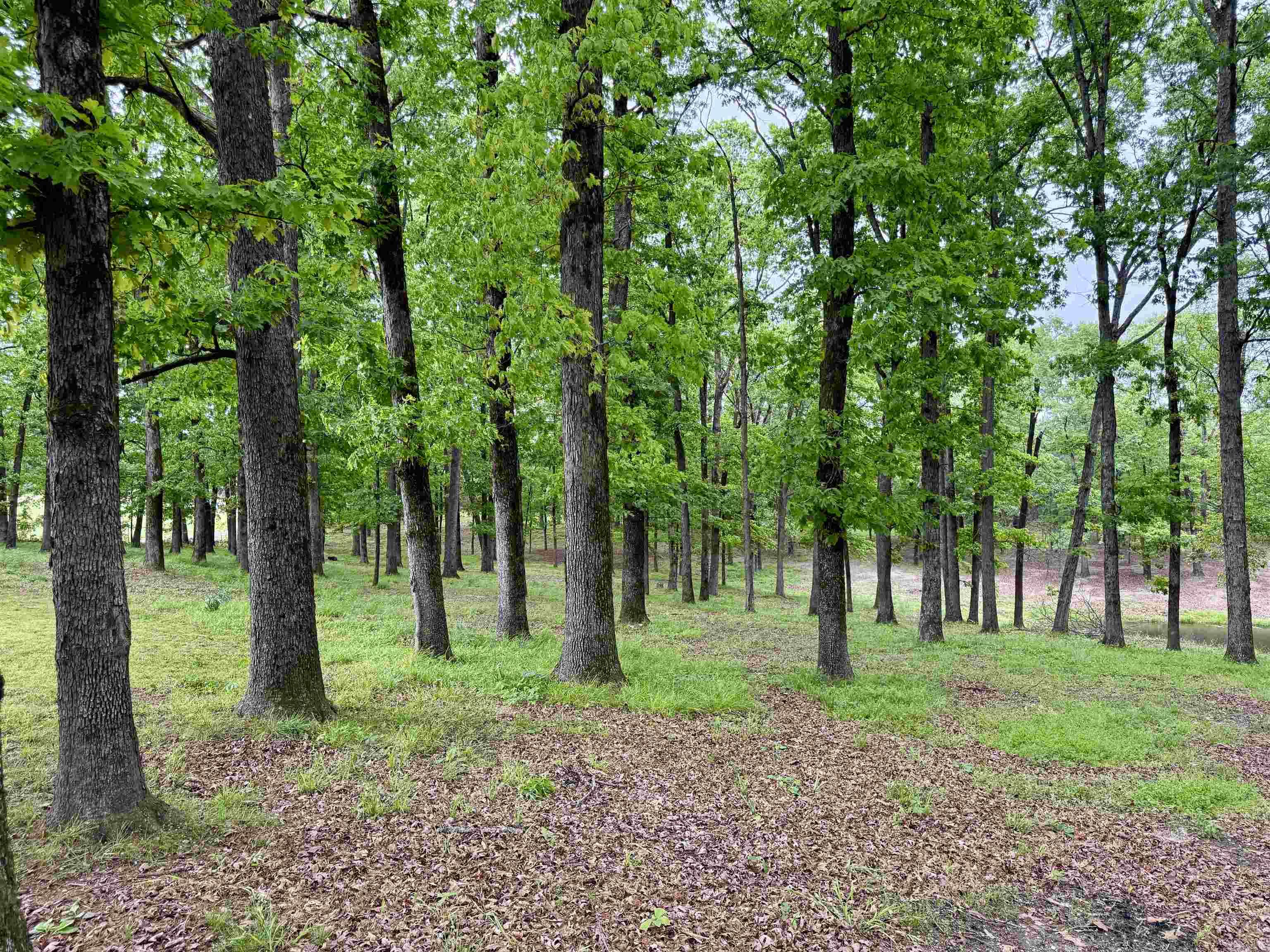 507 Polk Road 13 Property Photo 4