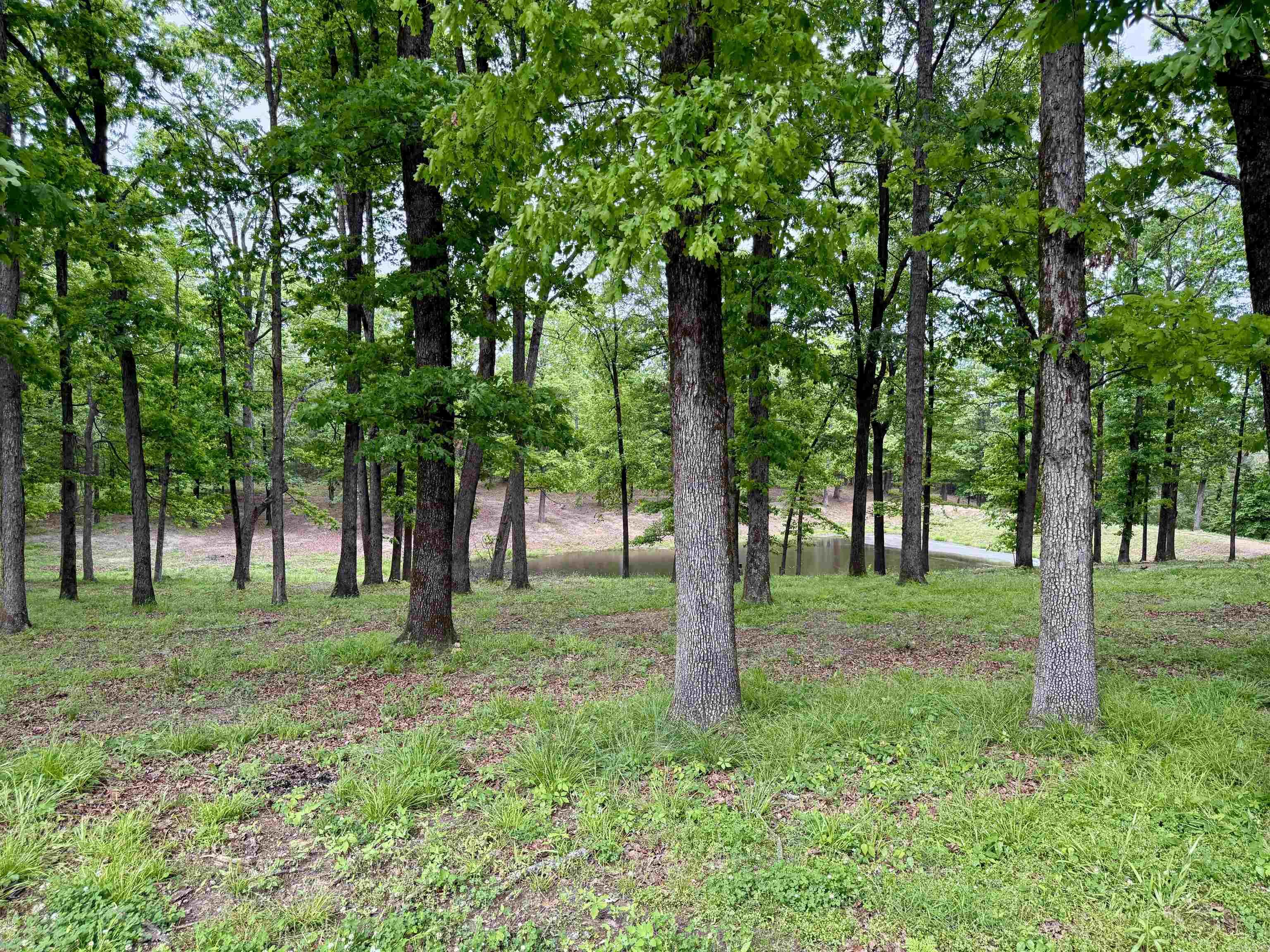 507 Polk Road 13 Property Photo 50
