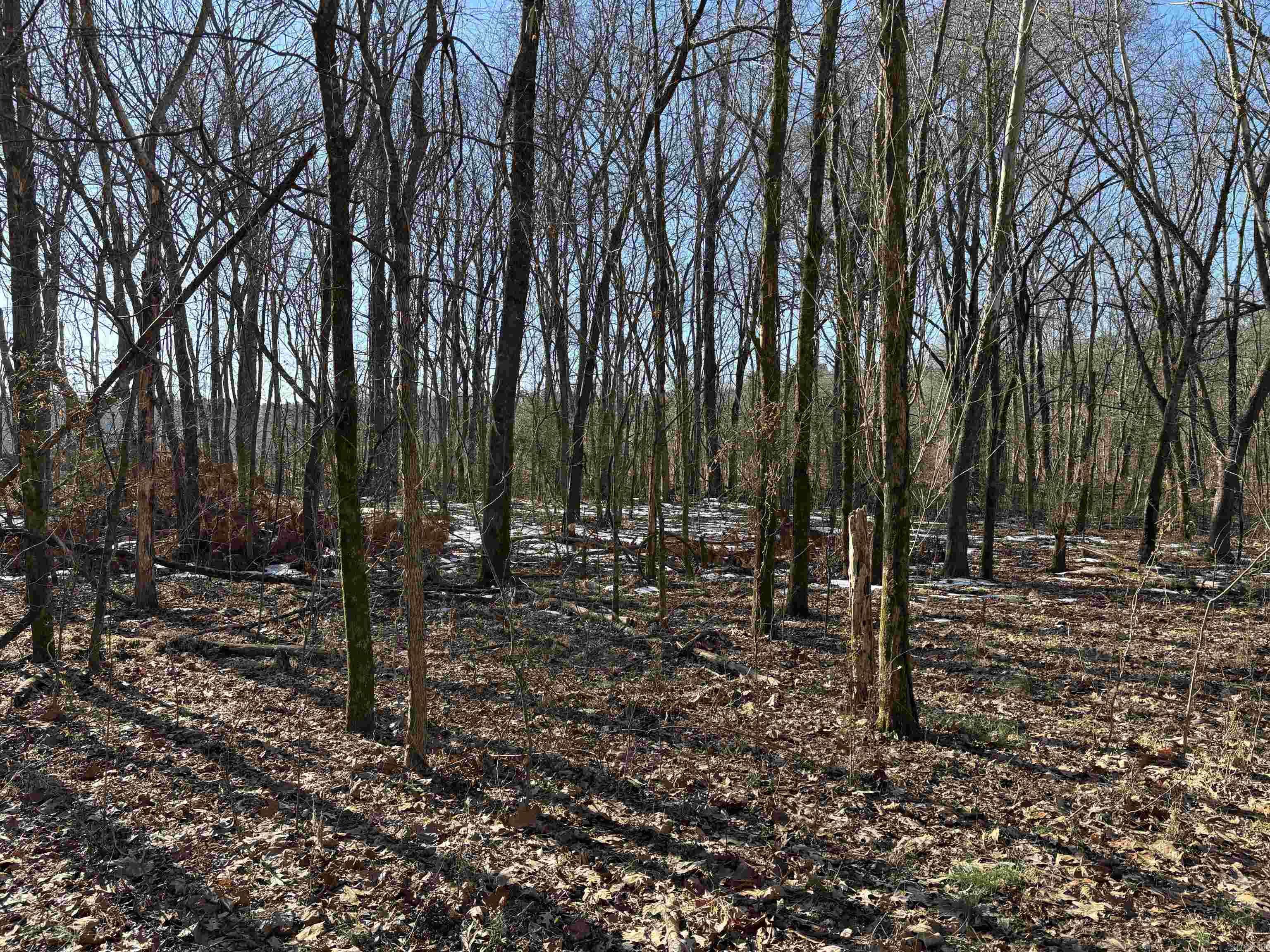 000 16 North Highway Property Photo 4