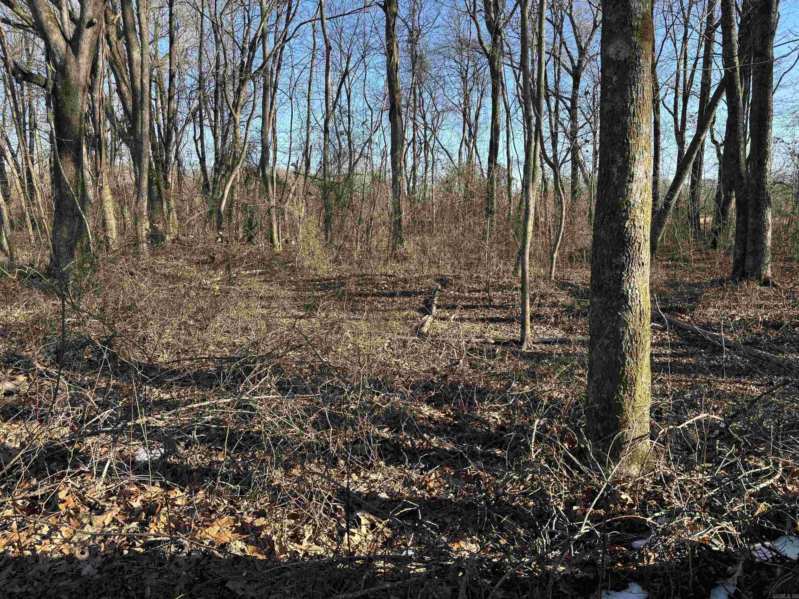 000 16 North Highway Property Photo 10
