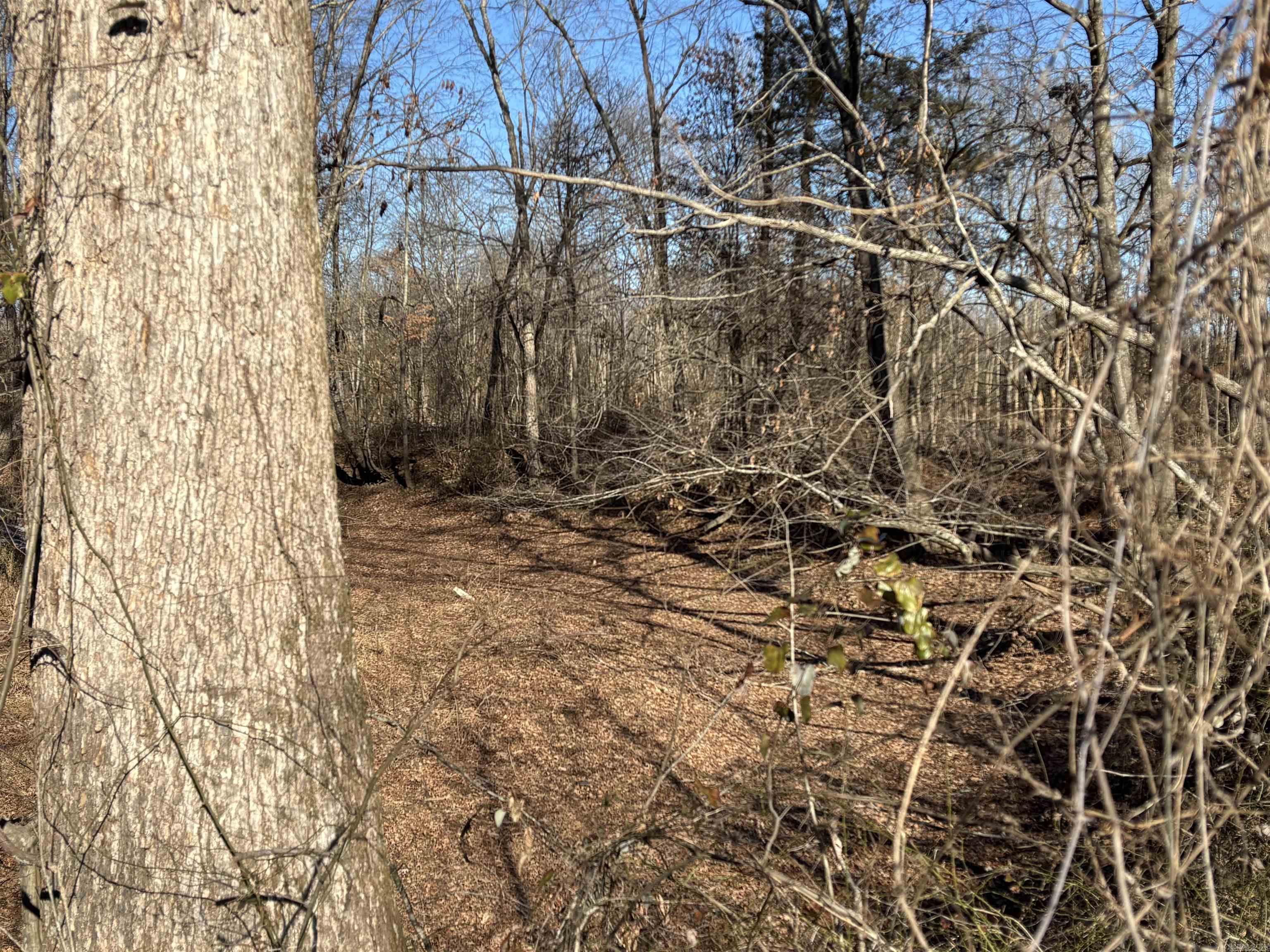 000 16 North Highway Property Photo 15