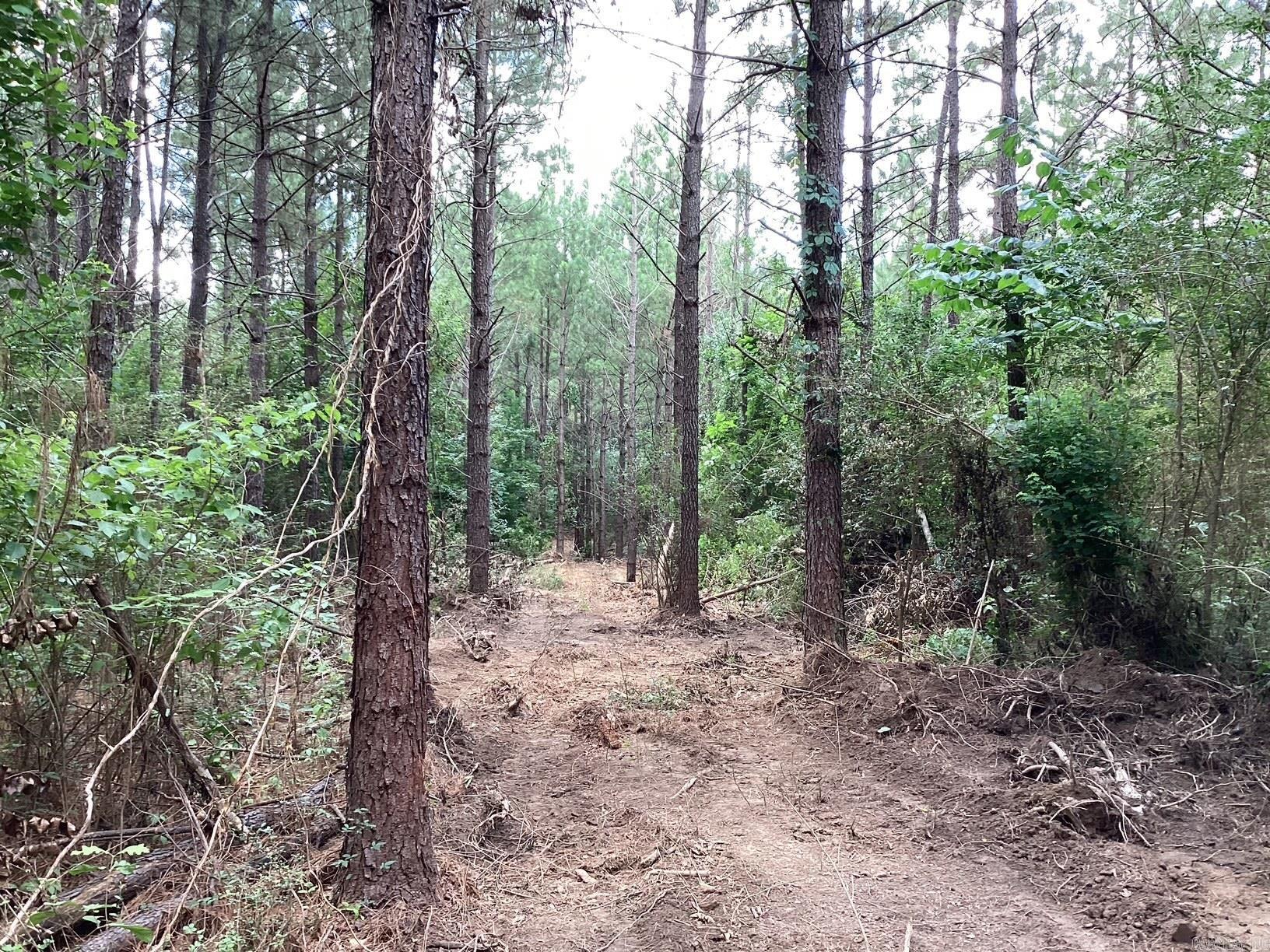 W Ave E. 39 Acres Property Photo 4