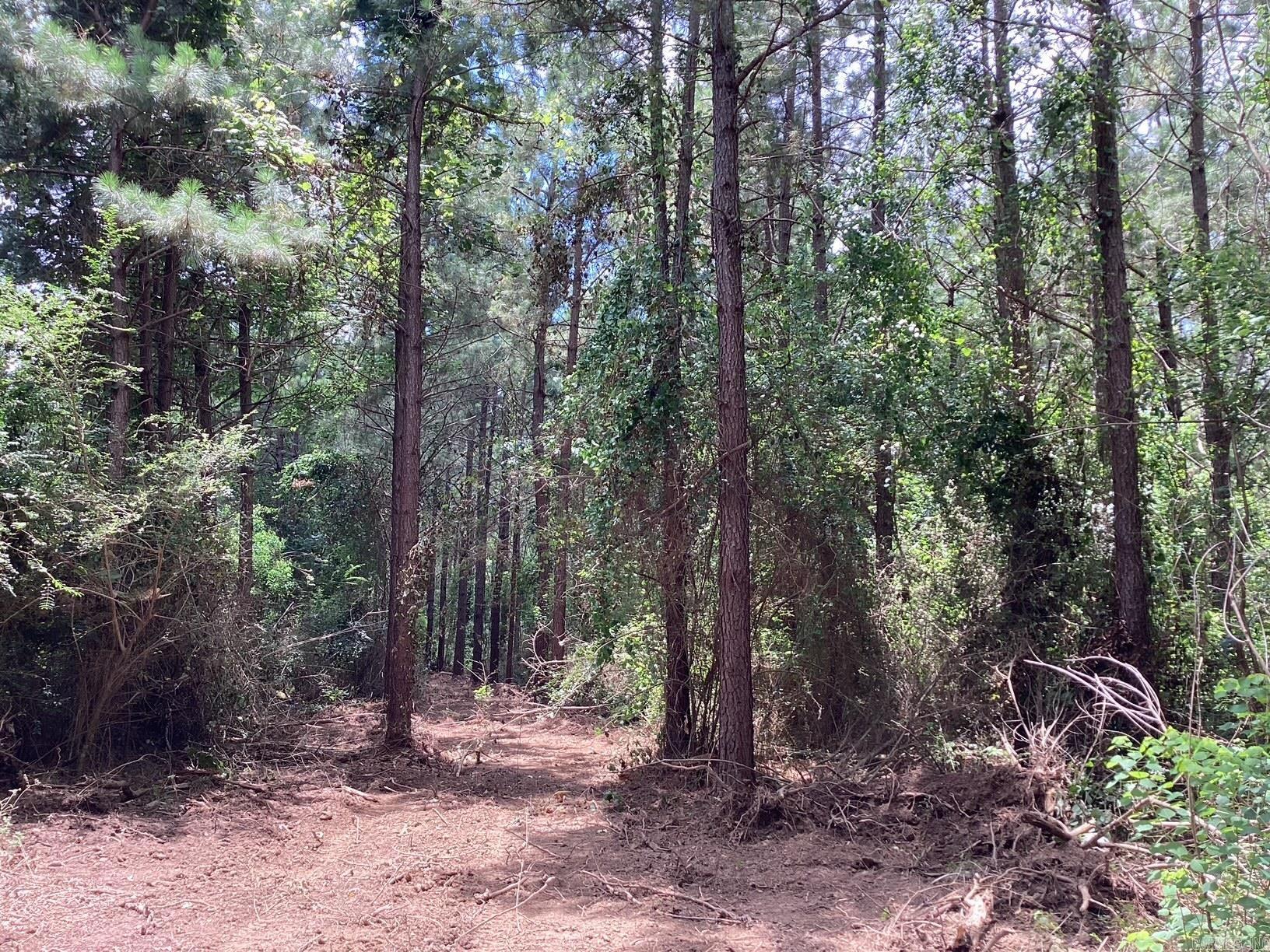W Ave E. 39 Acres Property Photo 6