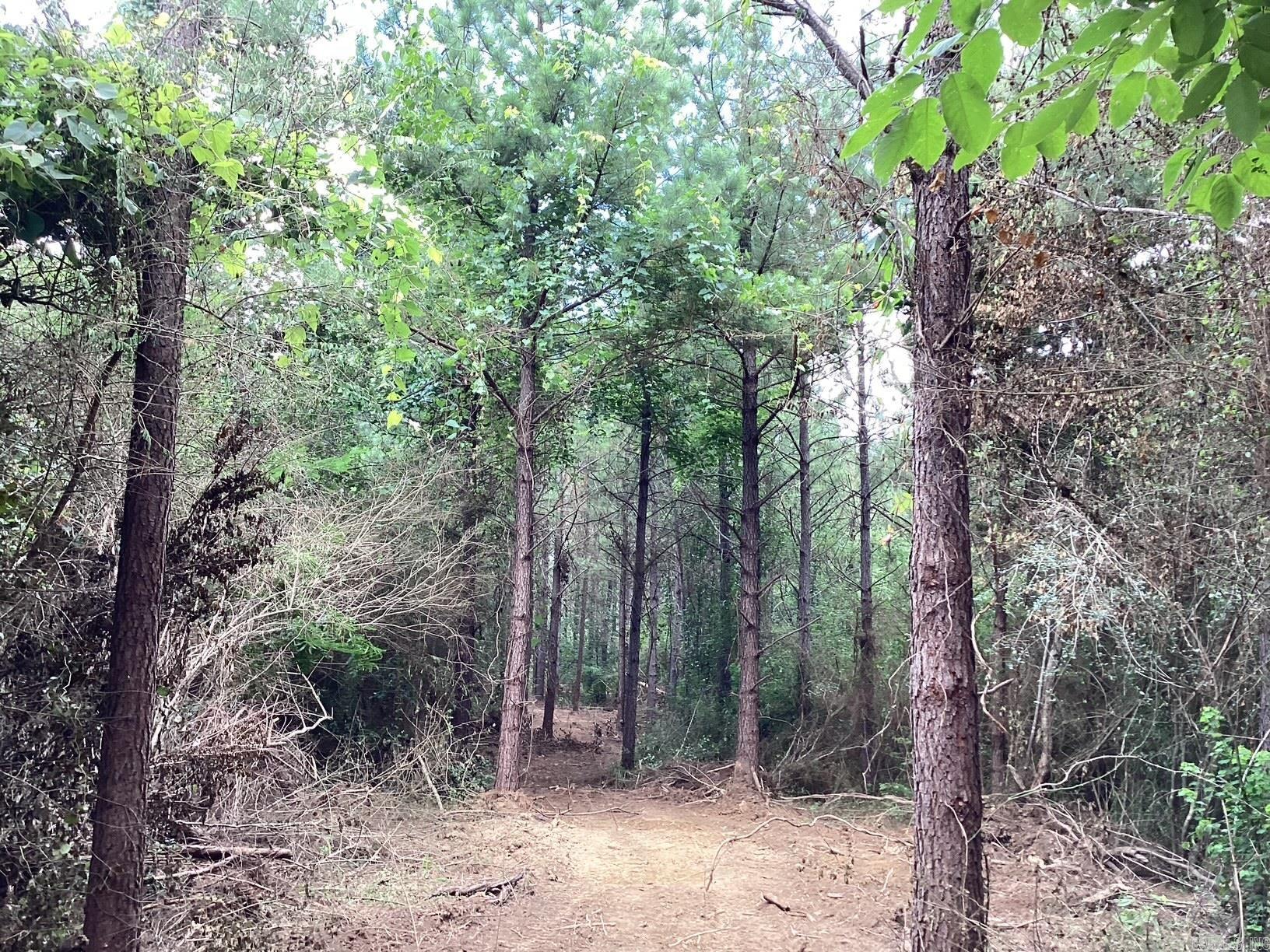 W Ave E. 39 Acres Property Photo 8