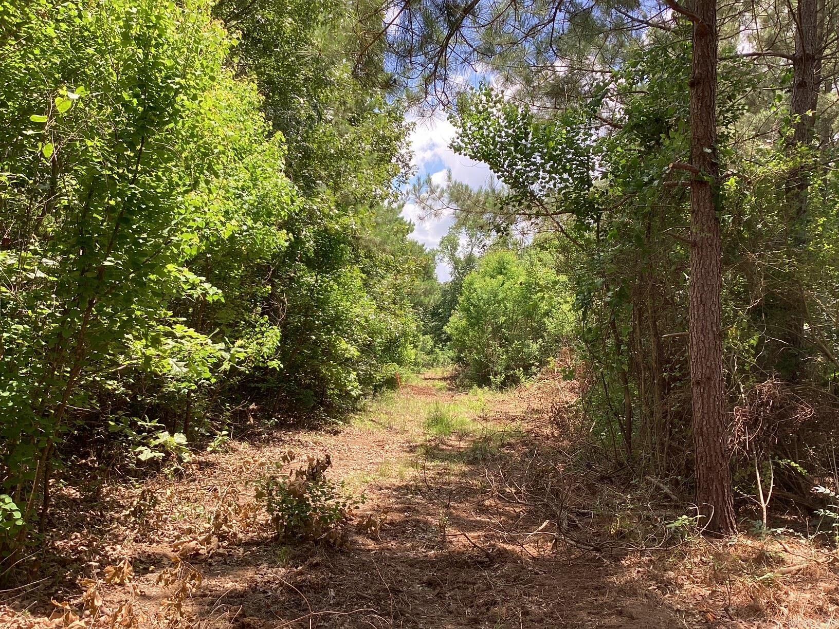 W Ave E. 39 Acres Property Photo 10