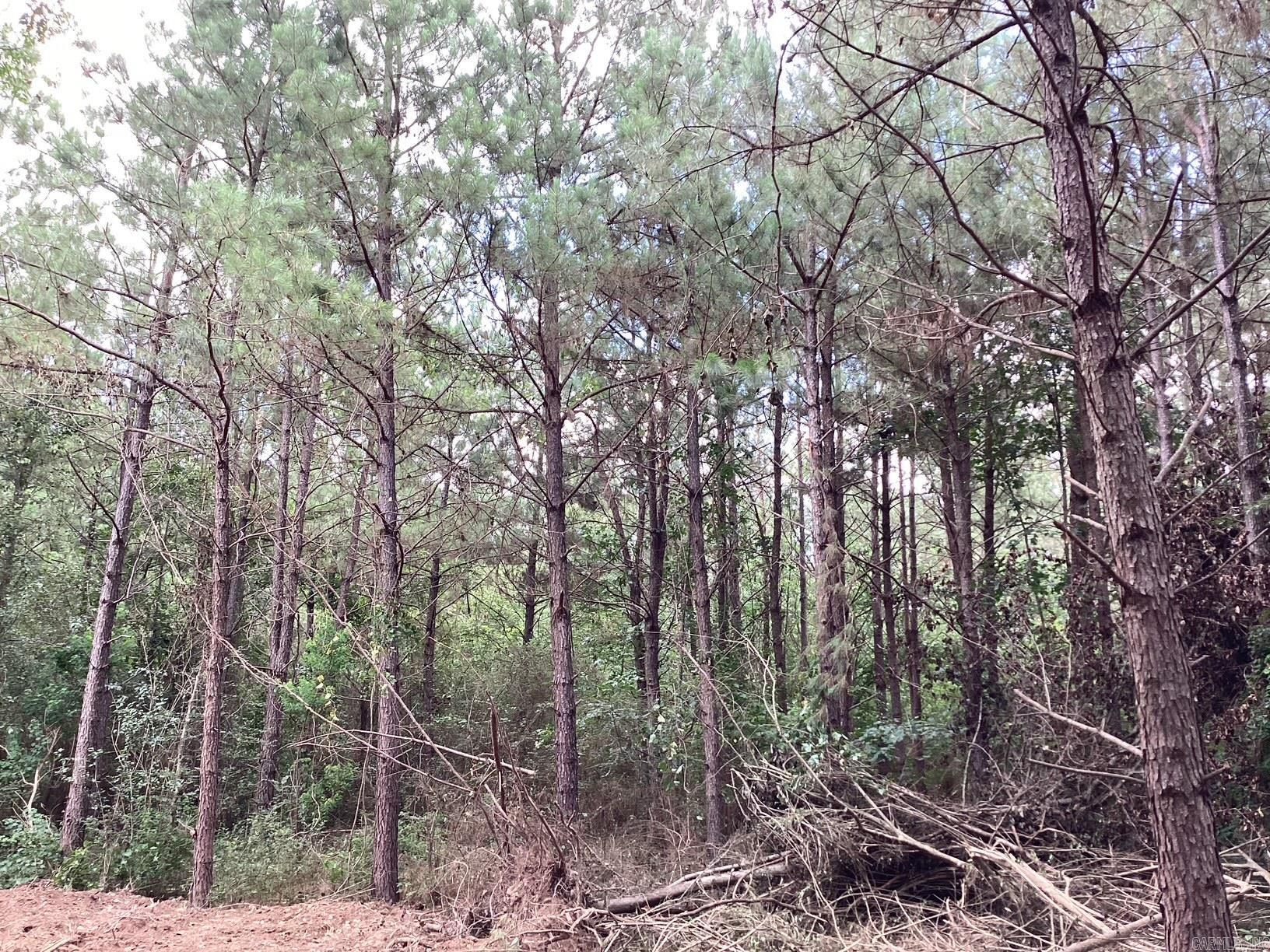 W Ave E. 39 Acres Property Photo 12