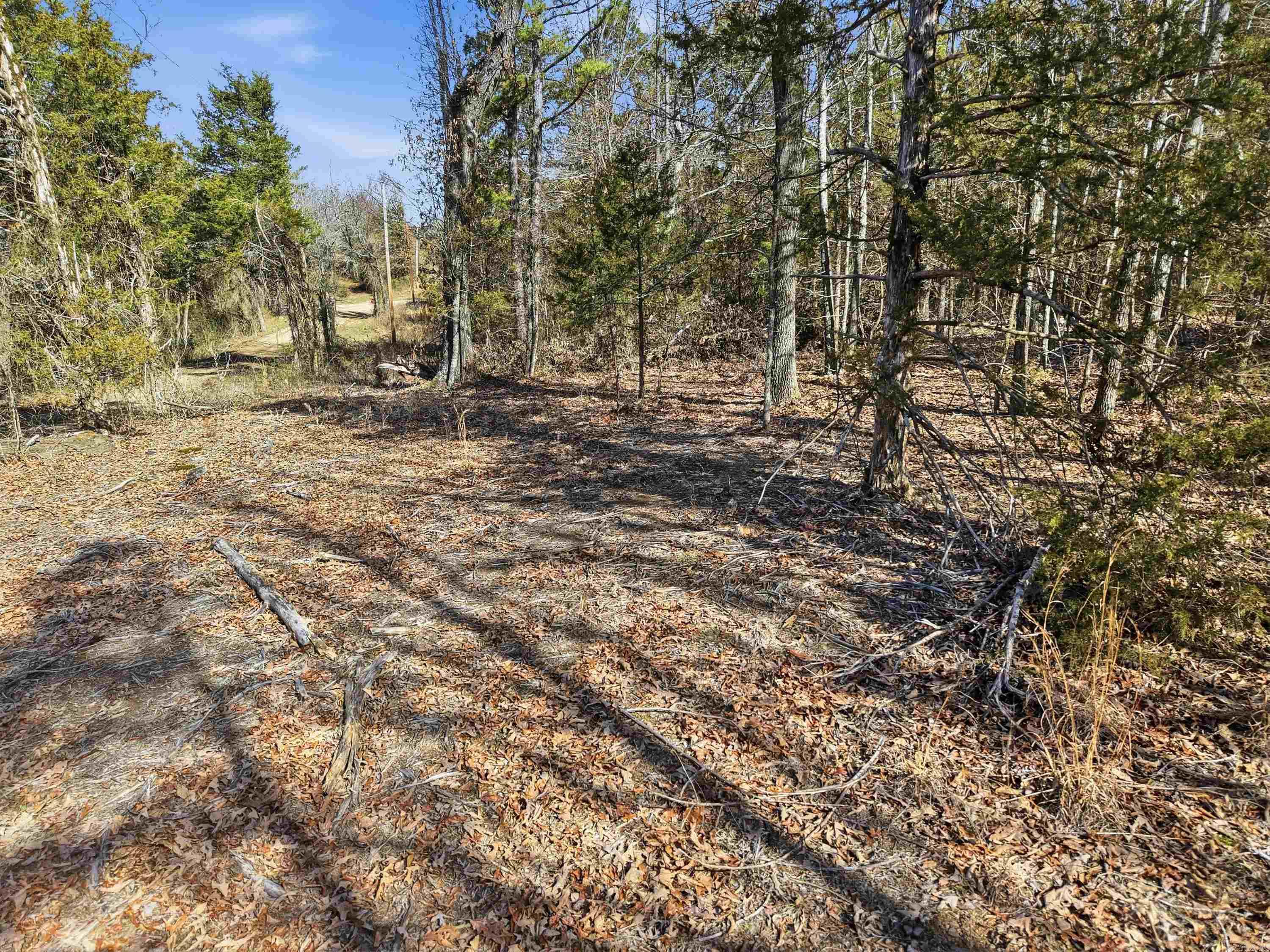 00 Roger Wooten Property Photo 21