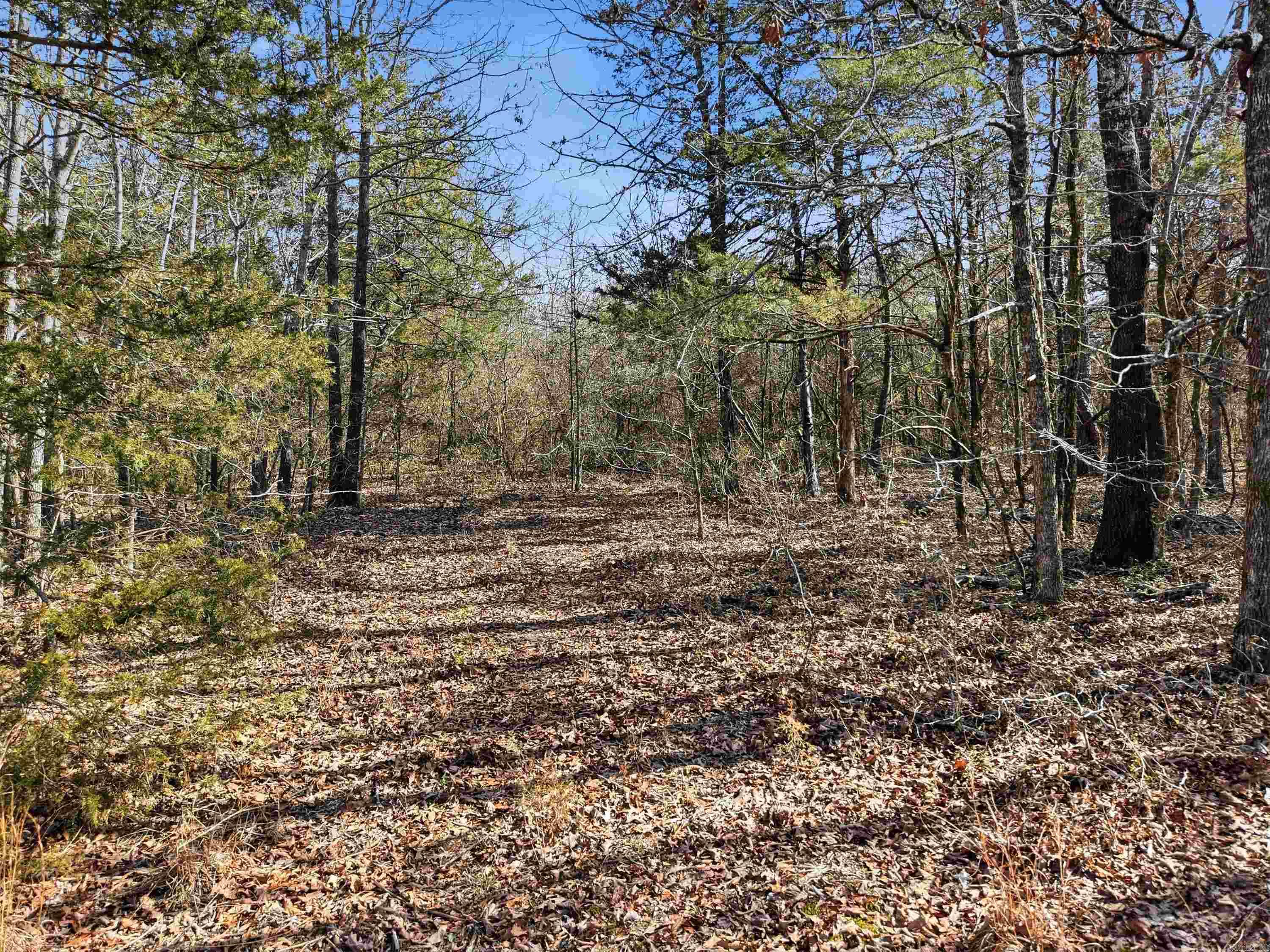 00 Roger Wooten Property Photo 22