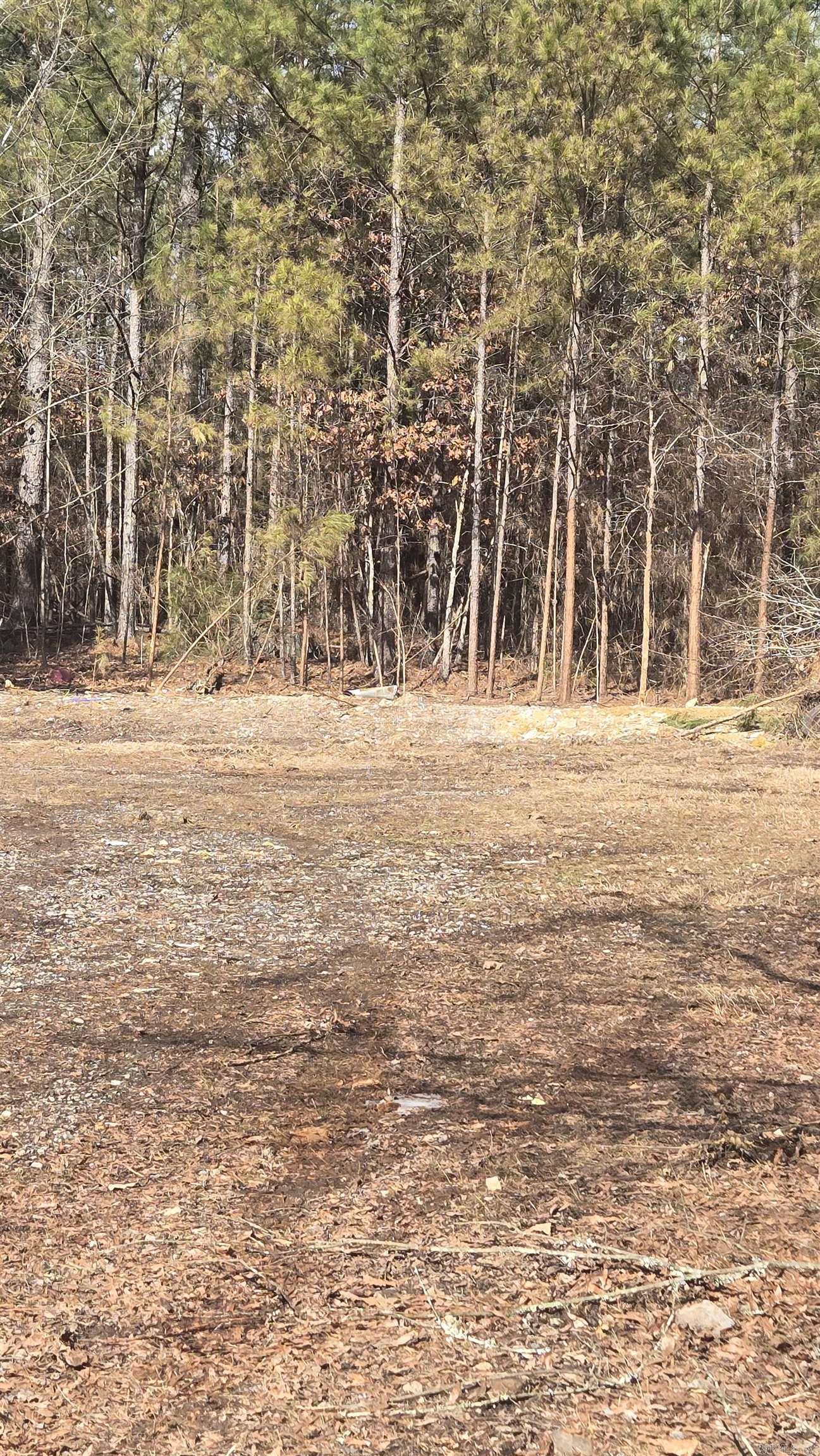 391 Joe Ford Trail Property Photo 1