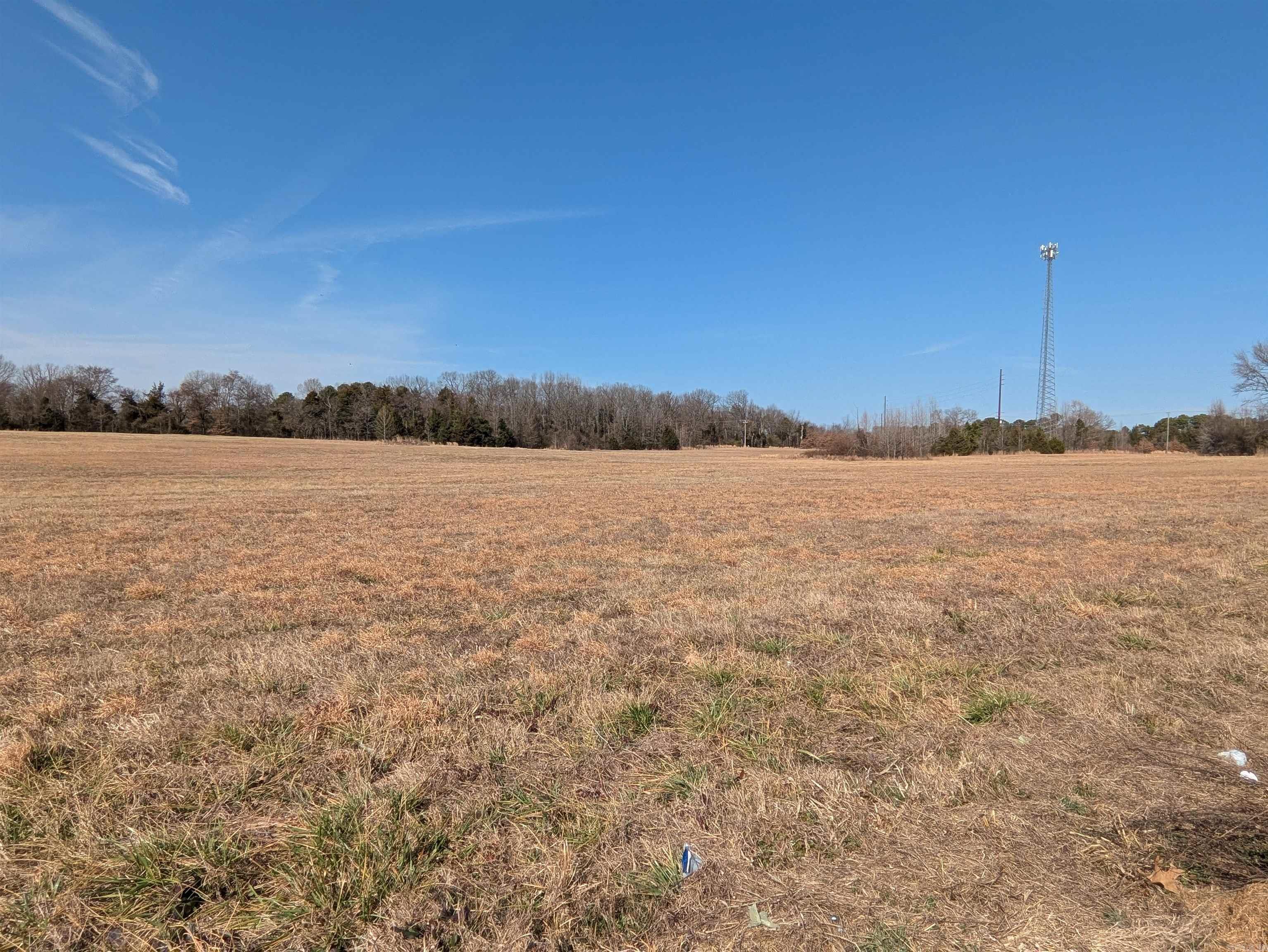 1410 Dunwood Drive Property Photo 2