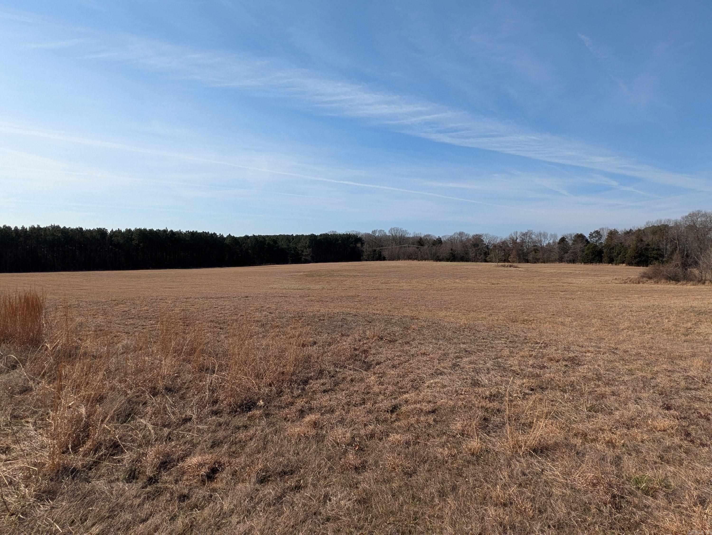 1410 Dunwood Drive Property Photo 5