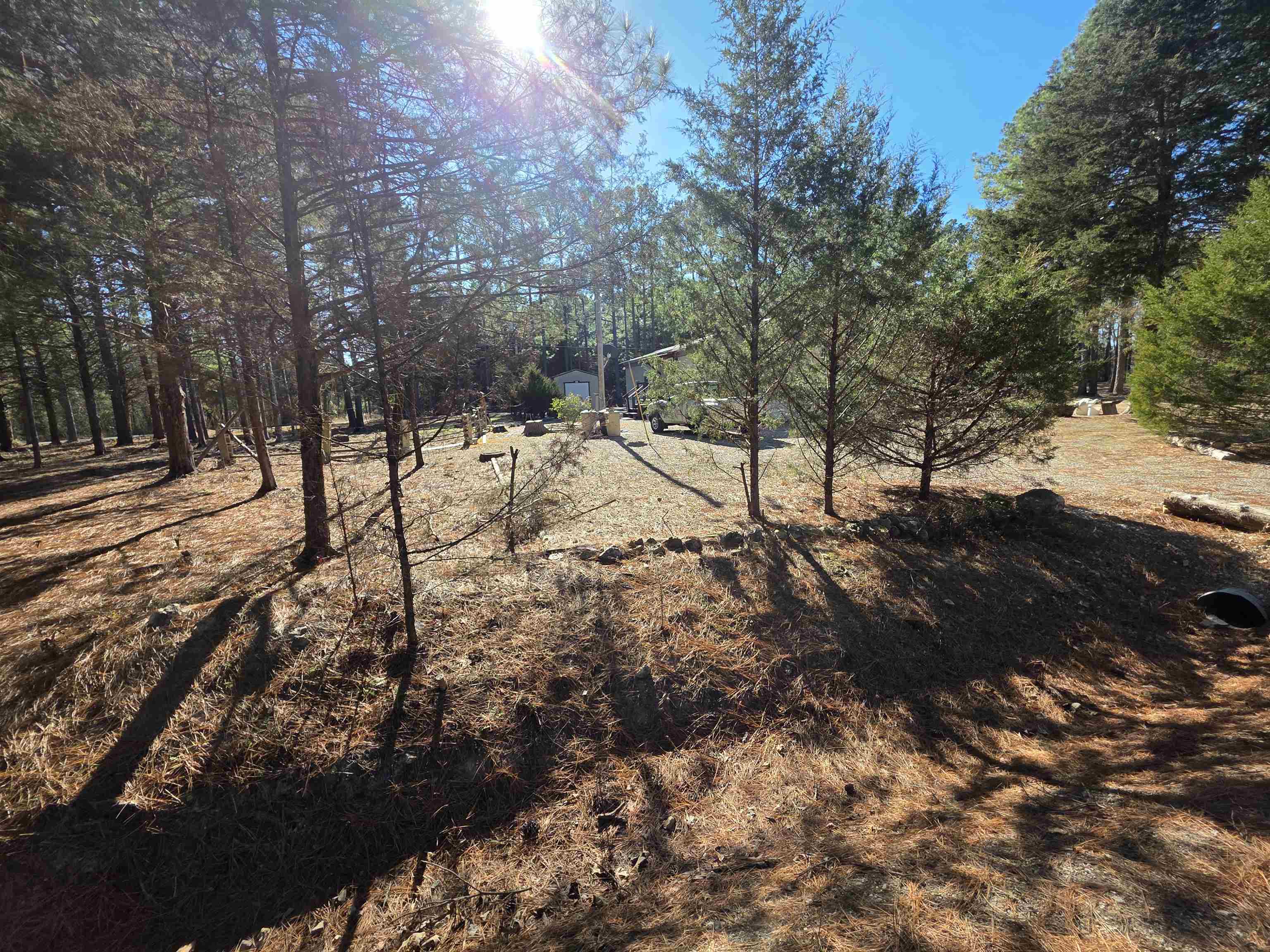22 Tonsue Drive Property Photo 15