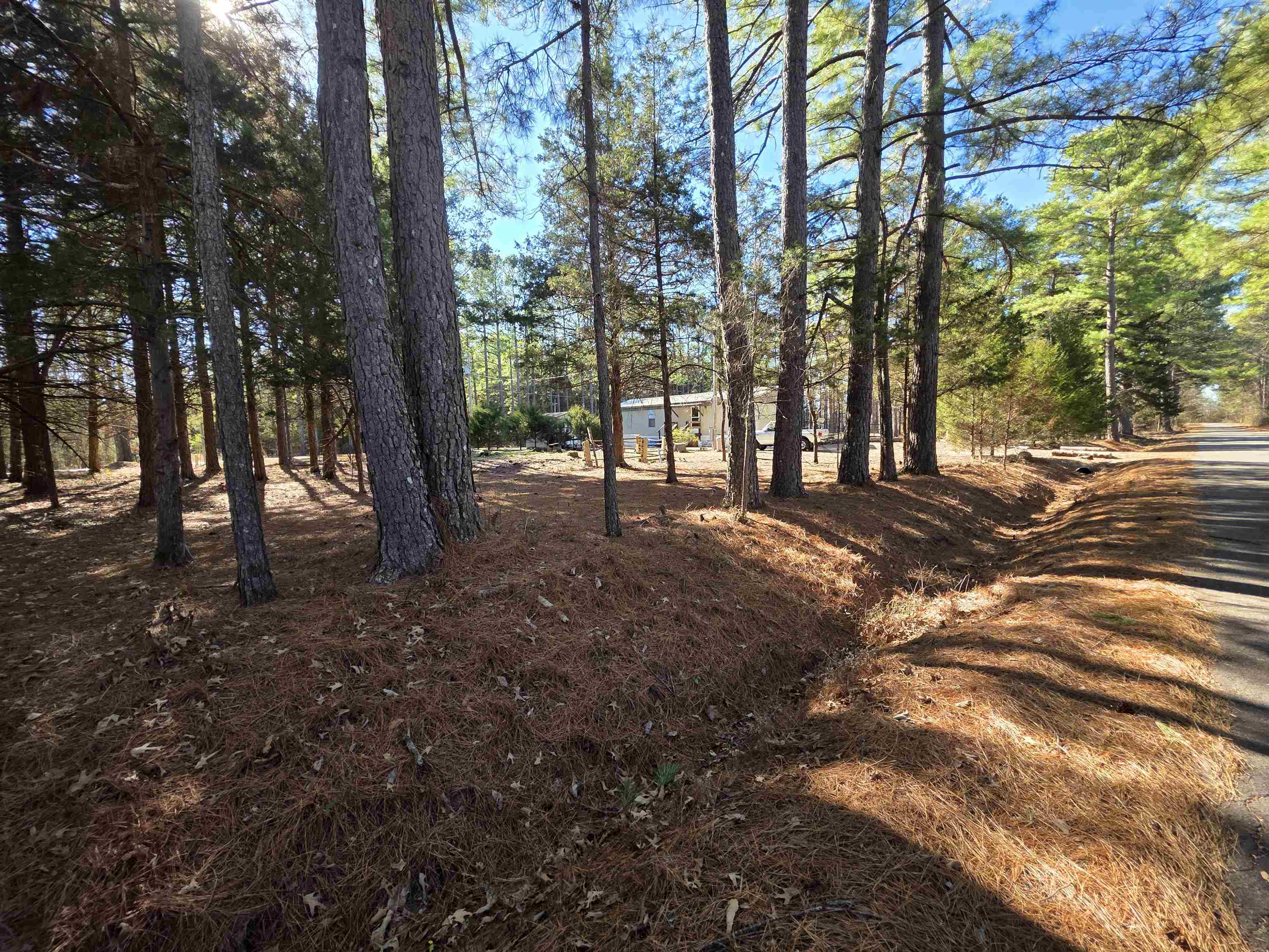 22 Tonsue Drive Property Photo 17