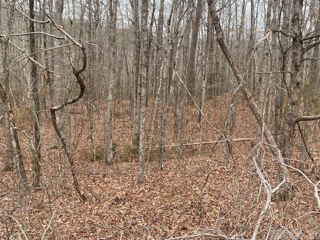 Lot 75 Mustang Drive Property Photo 1