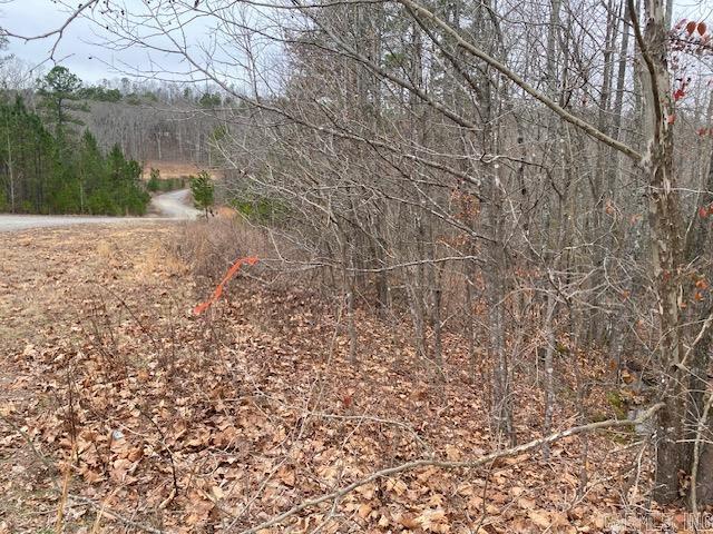 Lot 75 Mustang Drive Property Photo 3