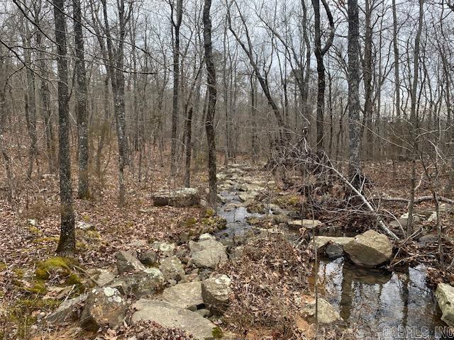 Lot 75 Mustang Drive Property Photo 4
