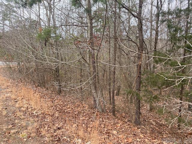 Lot 75 Mustang Drive Property Photo 6