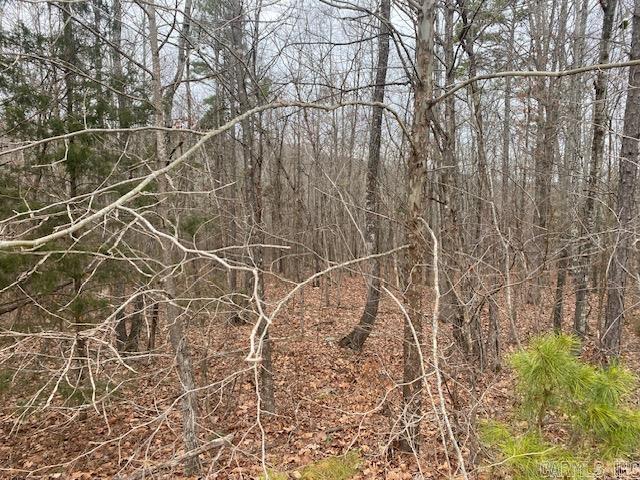 Lot 75 Mustang Drive Property Photo 8