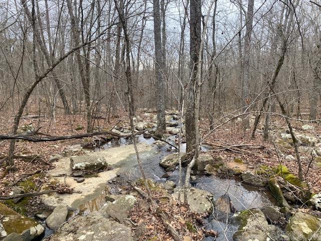 Lot 75 Mustang Drive Property Photo 11