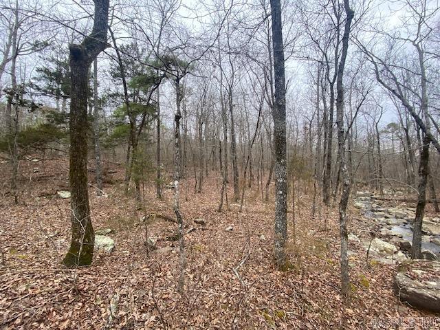 Lot 76 Mustang Drive Property Photo 2