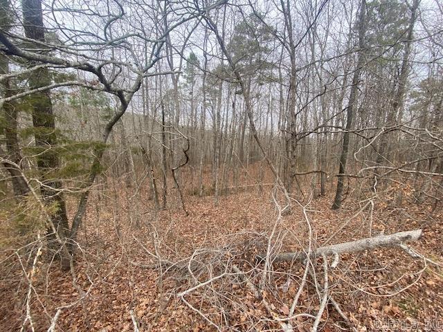 Lot 76 Mustang Drive Property Photo 3