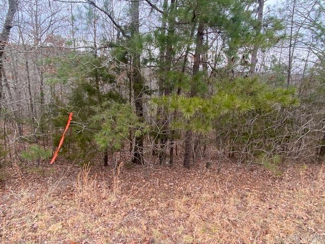 Lot 76 Mustang Drive Property Photo 4