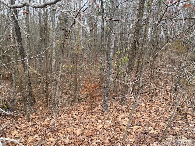 Lot 76 Mustang Drive Property Photo 6