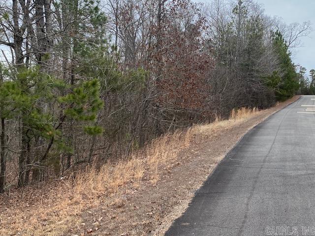 Lot 76 Mustang Drive Property Photo 7