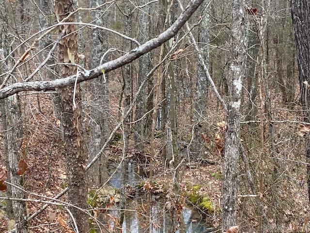 Lot 76 Mustang Drive Property Photo 8